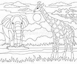 Girafe Africain sketch template