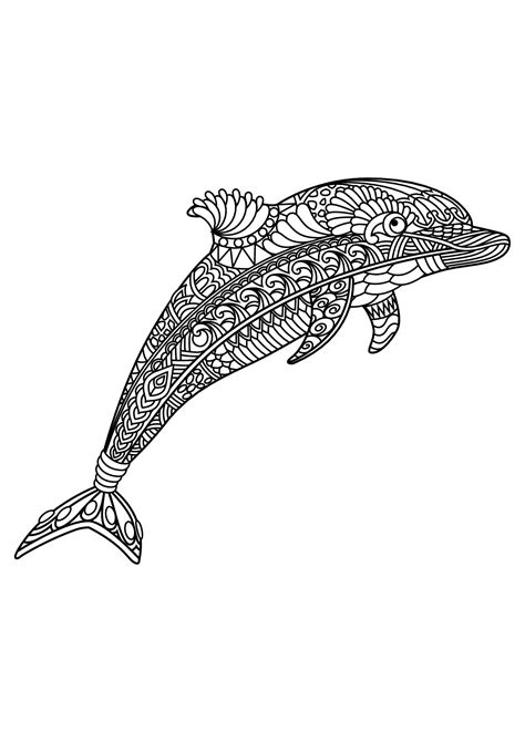 book dolphin dolphins adult coloring pages