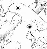 Macaw Hyacinth Kleurplaten Macaws Tekening Vogels Vogel Arara Tekeningen Papagaaien Sheet Parrot Scarlet sketch template