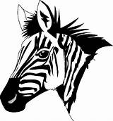 Zebra Outline Without Stripes Animals Clipart Coloring sketch template