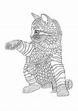 Coloring Mandala Kitten Pages Cat Adult Choose Board sketch template