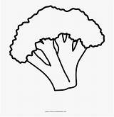 Broccoli Broccolo sketch template