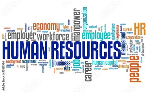Human Resources Word Cloud Stock Illustration Adobe Stock