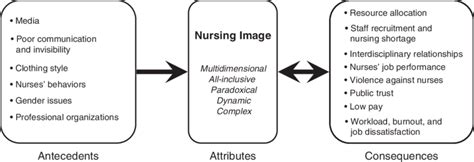 schematic model   nursing image representing  attributes  scientific diagram