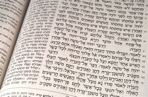 hebrew text  photo  freeimages