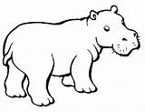 Hippo Hippopotamus Nilpferd Ausmalbilder Flusspferd Supercoloring Ippopotami Coloriage Ausmalbild Hipopotamos Junges Clipartbest Hippopotame Clipartmag Mammiferi Caricatura Ecrire sketch template
