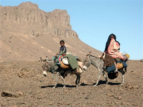 filenomad tuaregsjpg wikimedia commons