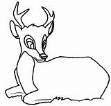 Doe Coloring Animals Pages 1111 Kb sketch template