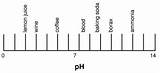 Ph Scale Chemistry Figure Cig Factmonster sketch template
