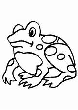 Kleurplaat Kikker Kikkers Kleurplaten Dieren Sapo Grenouille Mewarnai Coloriages Katak Coloring Kodok Sapos Animasi Colorare Frosche Frogs Frosch Ranas Bergerak sketch template