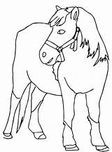 Kleurplaat Paarden Paard Kleurplaten Makkelijk Pferde Shetlander Malvorlage Zo Ausmalbilder Kleurplaatjes Stemmen Stimmen Kleurplatenenzo 1046 sketch template