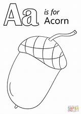 Acorn Coloring Pages Letter Printable Clipart Color Sheet Getcolorings Template Webstockreview Neo Onlinecoloringpages sketch template