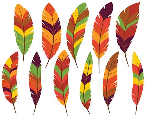 royalty free turkey feathers clip art vector images and illustrations