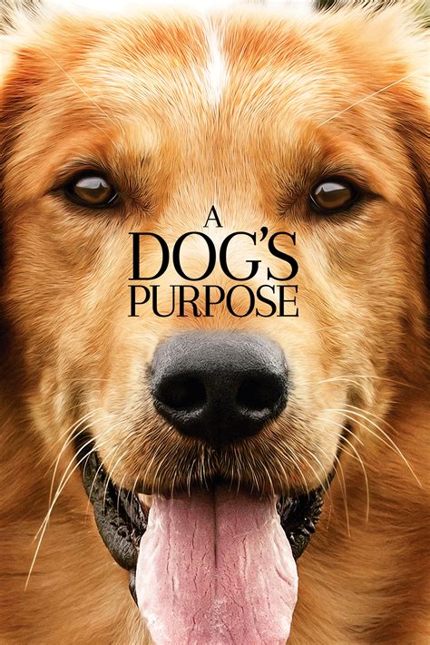 dogs purpose wiki synopsis reviews movies rankings