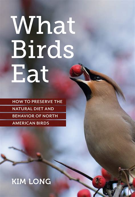 birds eat   preserve  natural diet  behavior  north american birds portland