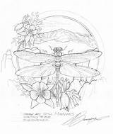 Bergsma Coloring Pages Original Sketches Press Book Journey Paintings Choose Board Dragonfly sketch template