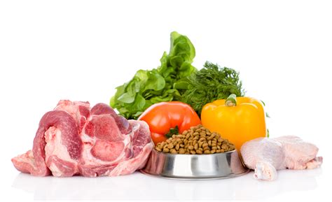 healthyfoodshutterstock southern animal health