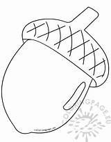 Acorn Clipart Large Coloring Coloringpage Eu sketch template