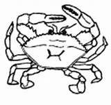 Shellfish Coloring Pages Animals sketch template
