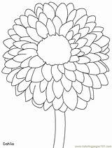 Coloring Flowers Printable Pages Kids Popular sketch template