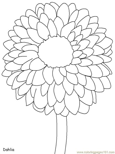 printable coloring pages  flowers  kids