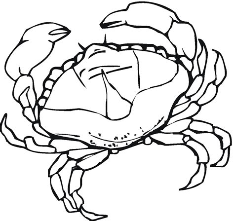 crab coloring pages kidsuki