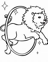 Lion Coloring Pages Print Getdrawings Circus sketch template