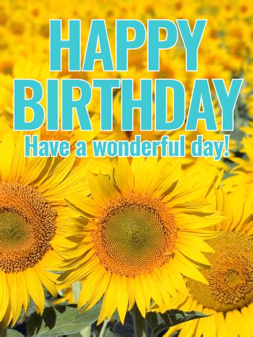 happy birthday images  sunflowers  happy bday pictures