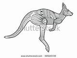 Kangaroo Drawing Hand Vector Drawings Tattoo Zentangle Coloring Effect Decoration Animal Shirt Logo Made Dessin Visitar Kangourou sketch template