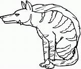 Hyena Coloring Scary Hiena Kolorowanka Hyenas Kolorowanki Coloringbay sketch template