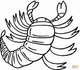 Kleurplaten Scorpions Scorpion Skorpione Skorpion sketch template