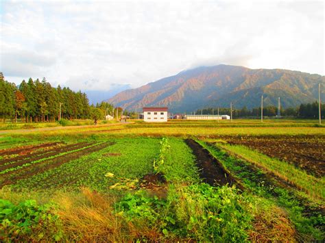 farming  fall  minamiuonumashi sapphireoath flickr