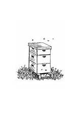 Coloring Pages Beehive sketch template
