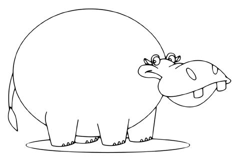animals fat hippo