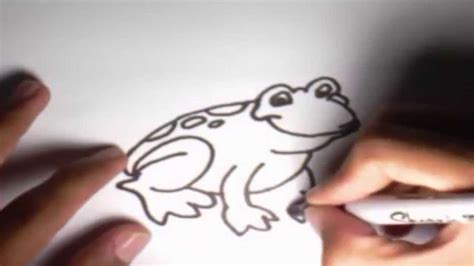 Como Dibujar Una Rana L How To Draw A Frog Youtube