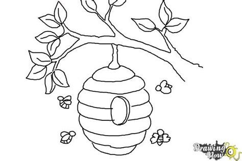 coloring page honeycomb  hive zanderecpadilla