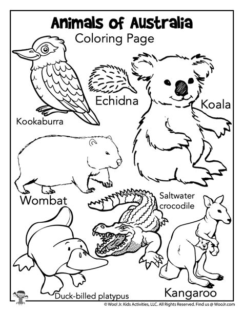 top  animal coloring pages inoticianet