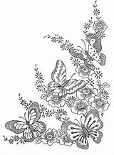 Butterflies Coloring Adult Difficult Pages Adults Insects Flowers Four Perfect Just Butterfly Harmony Flower sketch template