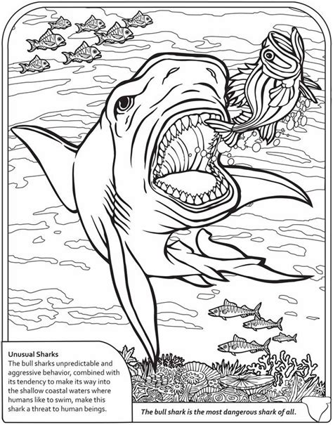 dinosaur  sharks coloring pages kids coloring activity pages