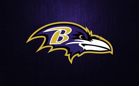 baltimore ravens picture  insanezane image abyss