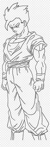 Gohan Coloring Pngfind sketch template
