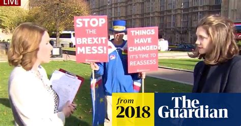 anti brexit protester repeatedly crashes live bbc news interviews