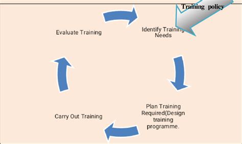 basic systematic training cycle  scientific diagram
