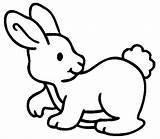 Conejos Conejo Conejito Coloring Conejitos Konijn Podrán Algunos Bunnies sketch template