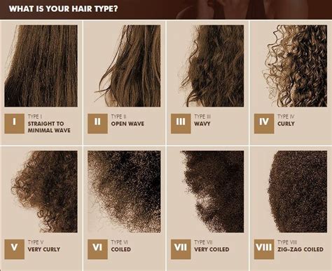 hair typing  knowing  hair type  hair type chart textured hair natural hair