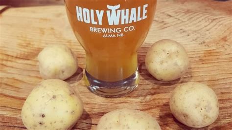 nb brewery hopes  lure islanders  promise  potato beer cbc news