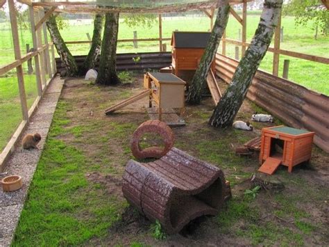 the 25 best rabbit enclosure ideas on pinterest outdoor rabbit run bunny play pen and rabbit