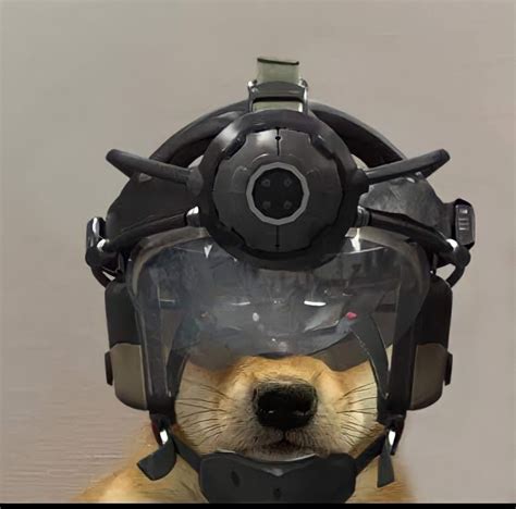 dog wearing  helmet  goggles   head   eyes closed