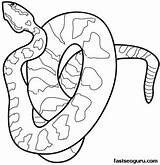 Serpente Schlangen Animali Snakes Serpenti Schlange Ausmalen Simple Malvorlage Copperhead Rattle sketch template