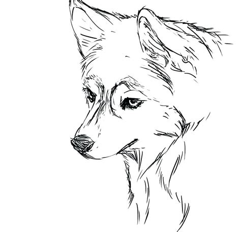 printable husky coloring pages